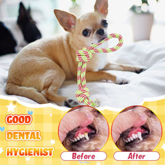 300g Dog Rope Toy
