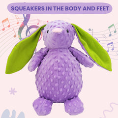 Purple Bunny Plush Dog Toy