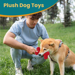 Red Bone Dog Toy