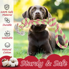 300g Dog Rope Toy