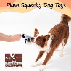 Raccoon Plush Dog Toy