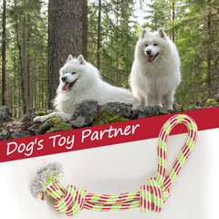 Two white dogs in a forest with a dog toy in the foreground labeled 'Dog's Toy Partner'.