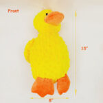 15" DUCK